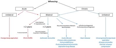 Recurrent Wheezing in Pre-school Age: Not Only Airway Reactivity!